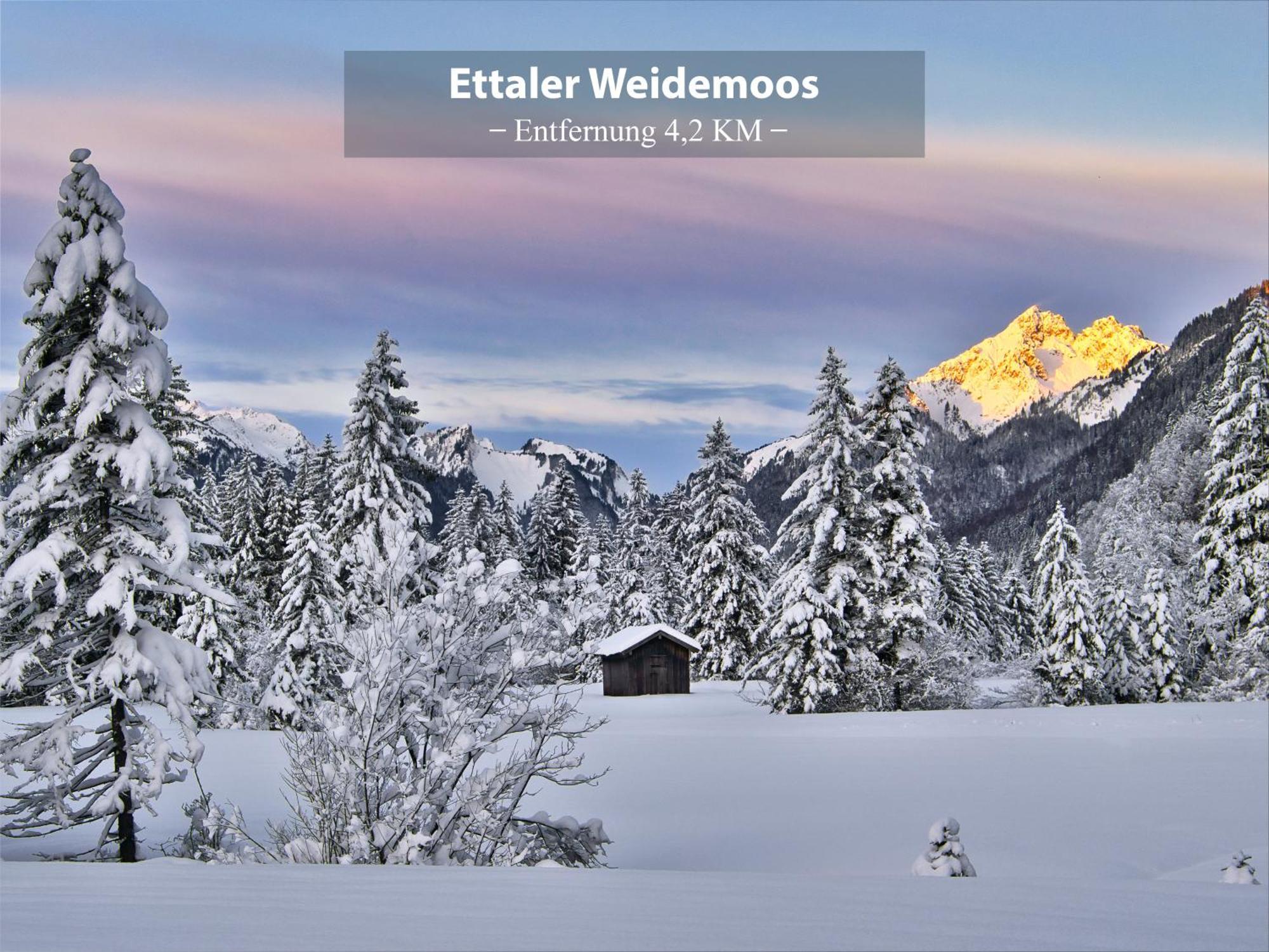 Montana - Ferienwohnung Am Laber Oberammergau Extérieur photo